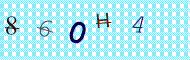 CAPTCHA code